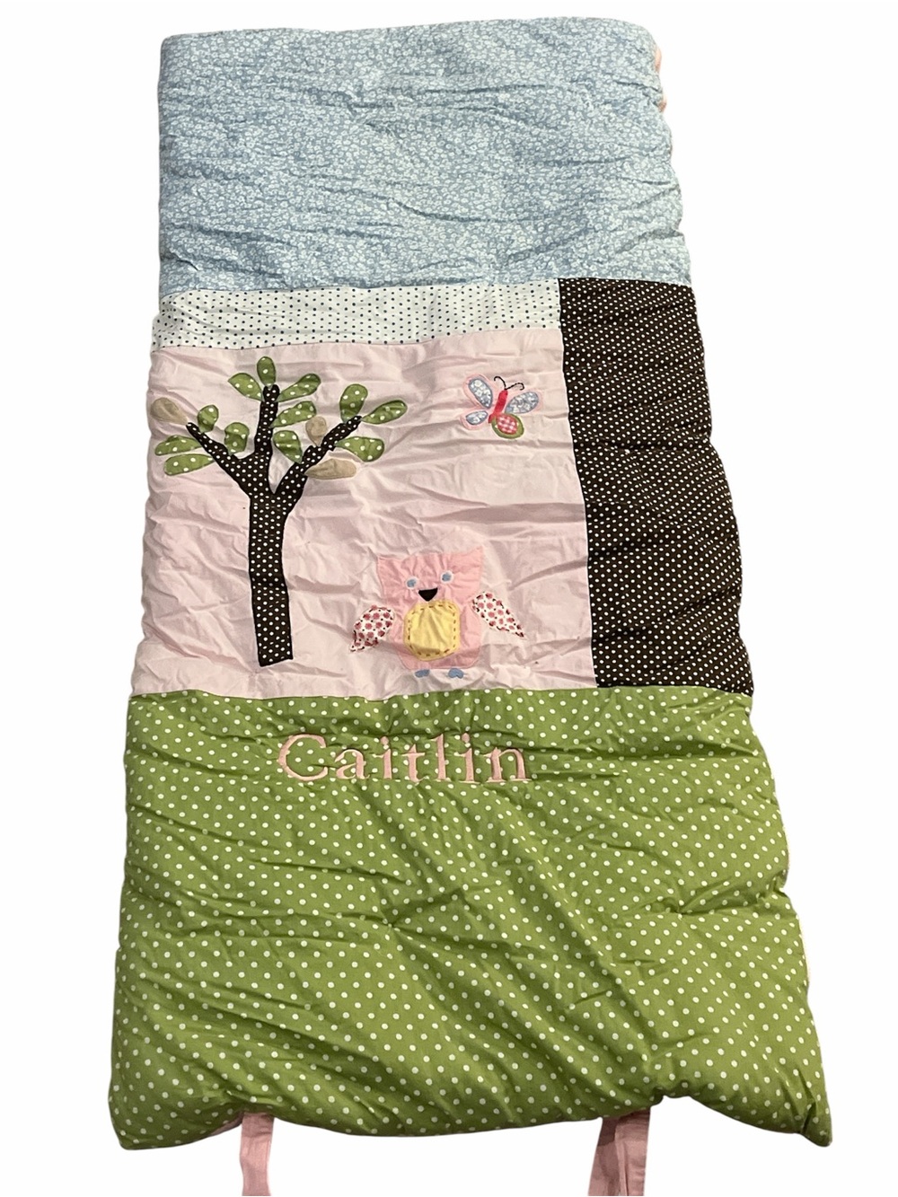 Pottery Barn Girls Sleeping Bag Butterfly, Owl & Tree name embroidered “Caitlin”